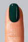 American Creator Color Gel Iguana 15 ml