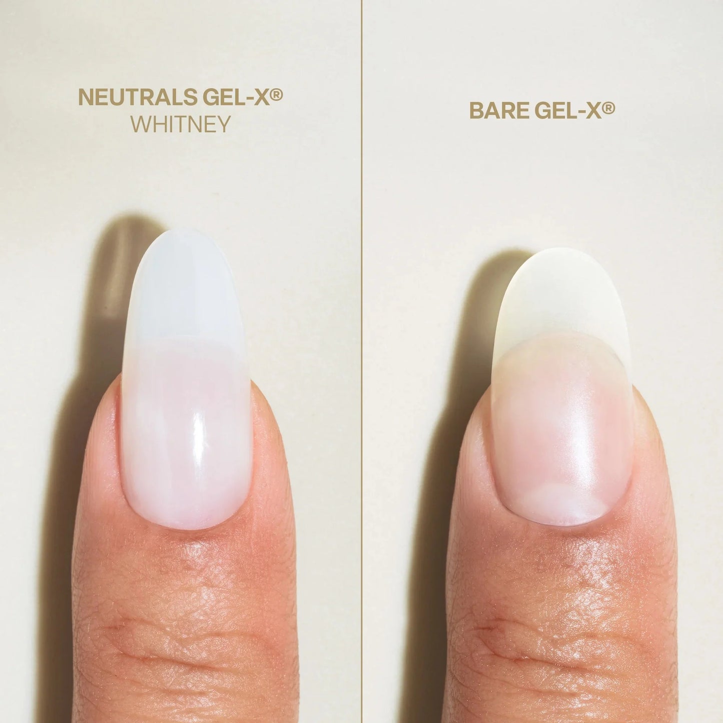 Aprés Bare Gel-X® Sculpted Box of Tips (16 sizes, 280pcs)