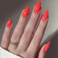Dnd Diva Duo Gel & Polish - Sunkissed Coral 210 - Universal Nail Supplies