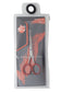 Professional scissors for eyebrows modeling EXPERT 30 TYPE 1 image 5