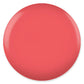 DND Daisy Gel Duo Coral Reef #556 featuring a vibrant coral gel nail polish and lacquer swatched on nails.