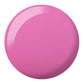 DND Daisy Gel Duo - Glowing Daisy #808 - Universal Nail Supplies