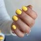 DND Daisy Gel Duo - Honey #745 - Universal Nail Supplies