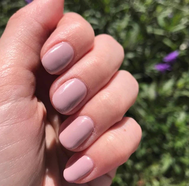 DND Daisy Gel Duo - London Coach #606 - Universal Nail Supplies