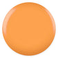 DND Daisy Gel Duo - Pumpkin Spice #654 - Universal Nail Supplies