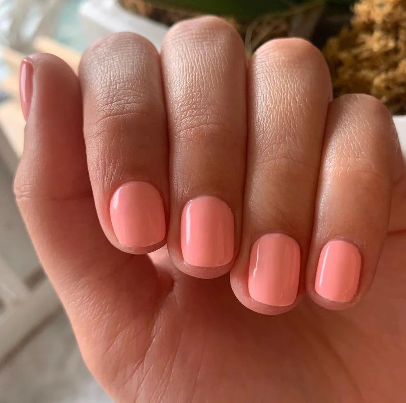 DND Daisy Gel Duo - Sugar Crush #725 - Universal Nail Supplies