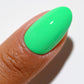 DND DC Gel Duo - Palm Tree #2537 - Universal Nail Supplies