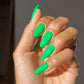 Dnd Diva Duo Gel & Polish - Botanical Bliss 275 - Universal Nail Supplies