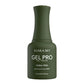 Kiara Sky Gel Polish Pro Hema-Free & TPO-Free In The Greentime HFG119 - Universal Nail Supplies