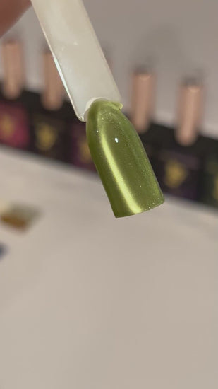 Gellicure Pro Cat Eye Gel Night Sparkle Series FW-07