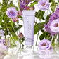 Voesh vegan lavender body lotion in a 3oz container, featuring a clear, smooth texture with lavender scent.